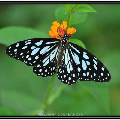 Maharashtra Nature park Visit 2022 03