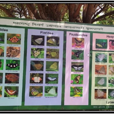Maharashtra Nature park Visit 2022 07
